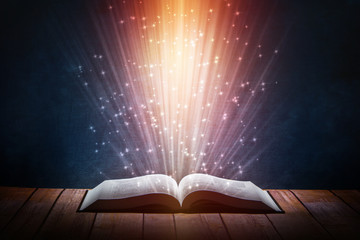 红楼梦好词好句的赏析