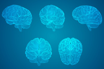 世界足坛最伟大的五位球员分别是谁？