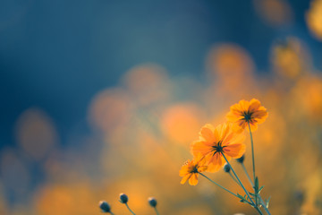 你认为羽毛球技术很强的男单选手都有谁？