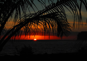 知耻后勇的名人励志故事