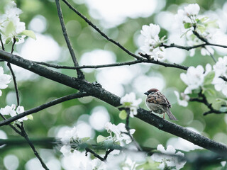 全球踢足球最厉害的是谁