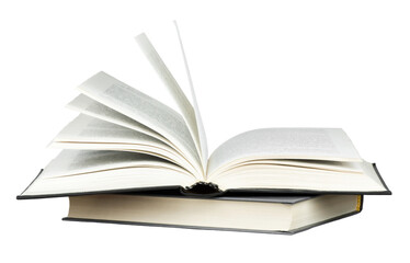 世界羽毛球男双排名第一是谁？