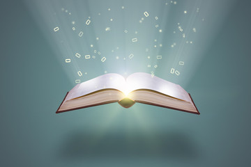 你认为羽毛球技术很强的男单选手都有谁？