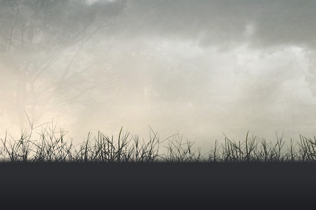 世界足坛最伟大的五位球员分别是谁？