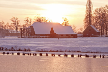 全球踢足球最厉害的是谁